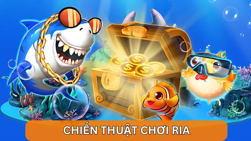 Gợi ý cách bắn cá ở siêu thị bằng chiến thuật chơi ria