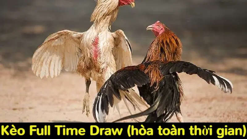 Kèo Full Time Draw (hòa toàn thời gian)